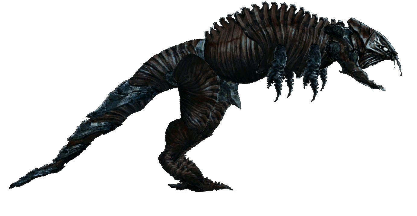 xenomorph raptor