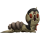 Peanut Halloween.png