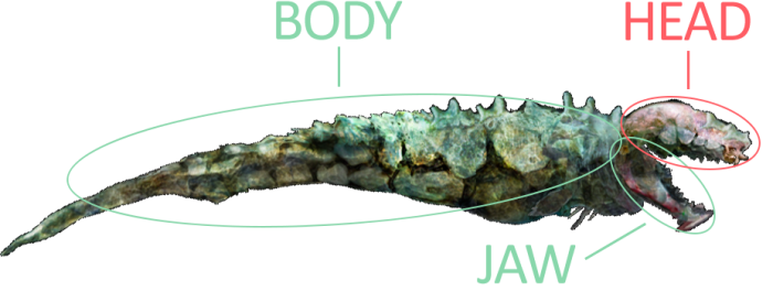 Bone Thresher - Official Barotrauma Wiki