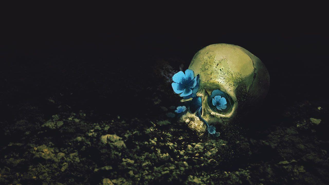 Barotrauma flower and skull illustration